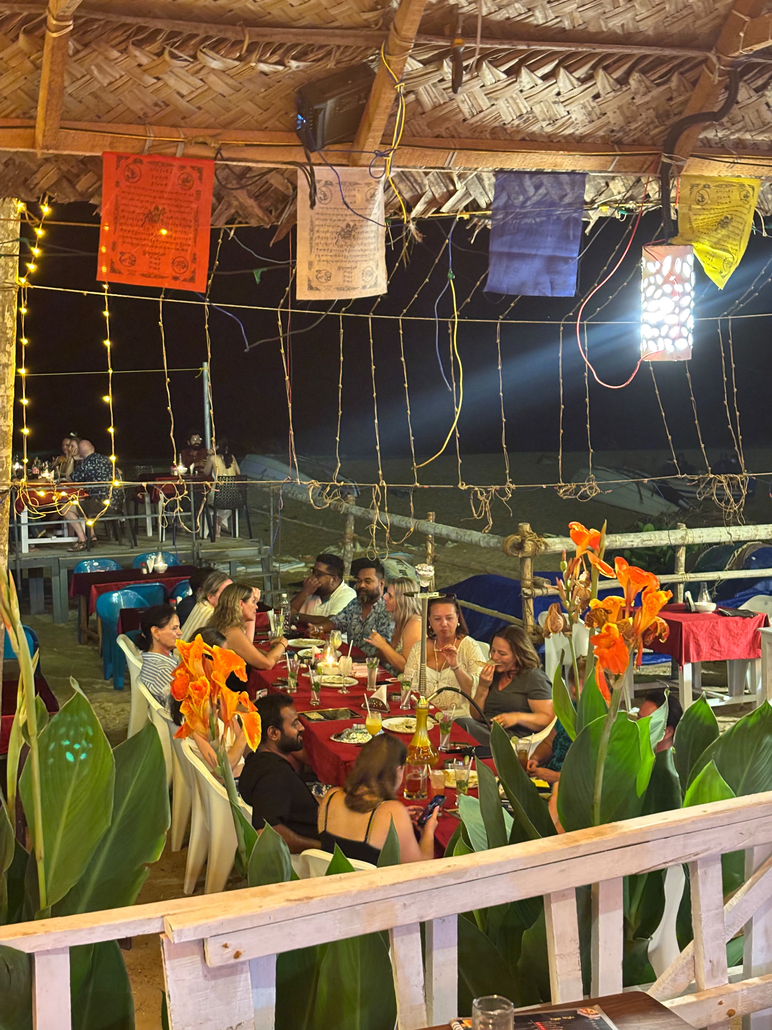 Group dining under the stars