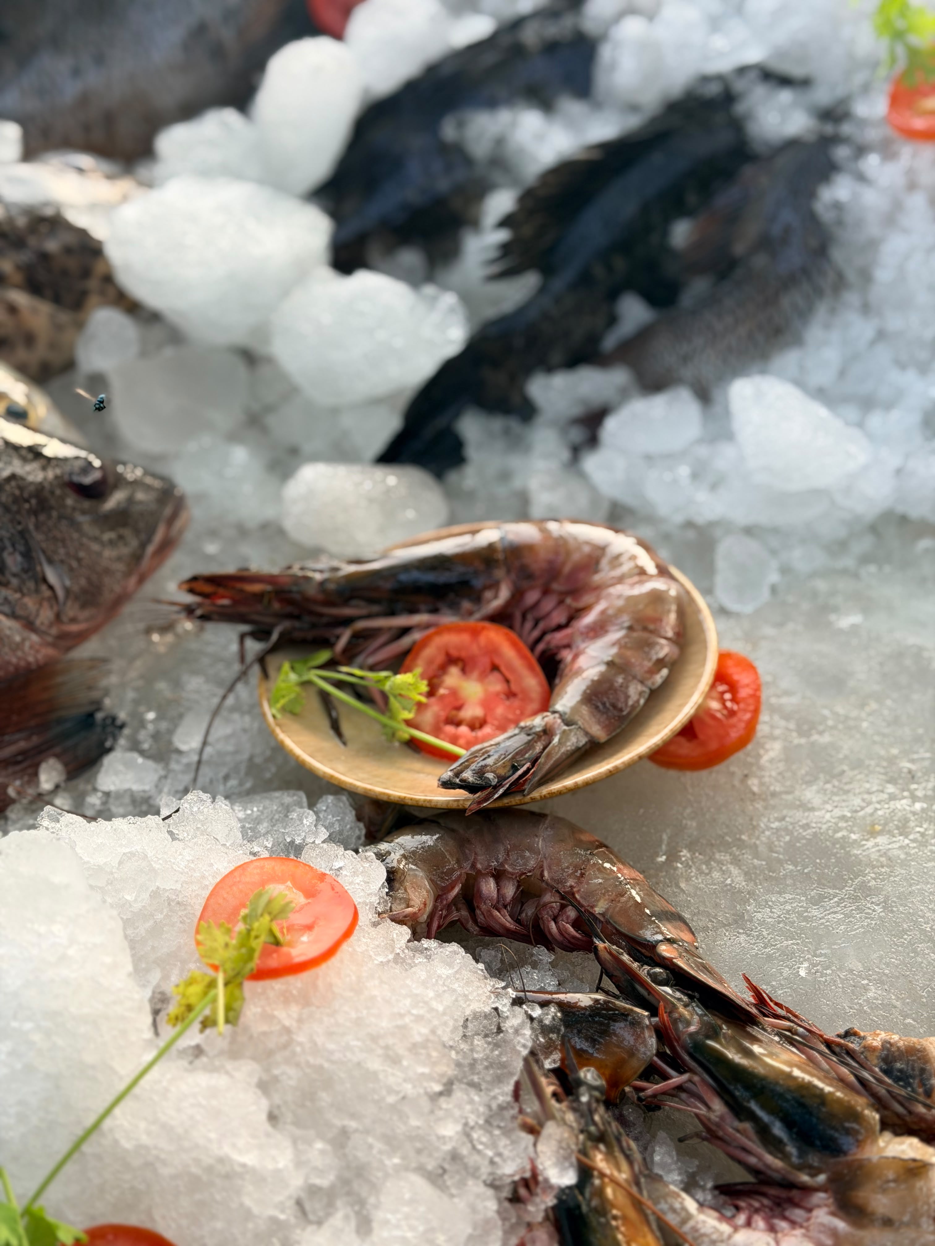 Fresh prawns and fish — Seafood Corner